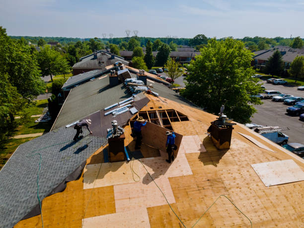 Best Local Roofing Companies  in East Franklin, NJ