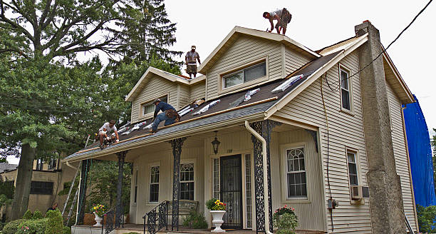 Best Storm Damage Roof Repair  in East Franklin, NJ